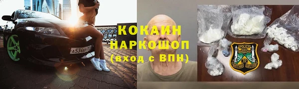 прущие грибы Переславль-Залесский
