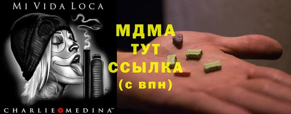 МДПВ Пересвет