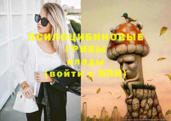 винт Алзамай