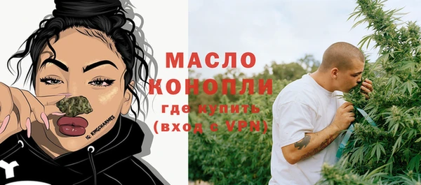 МДПВ Пересвет