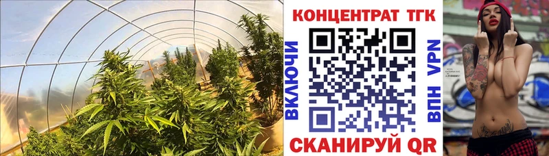 ТГК концентрат  Лобня 